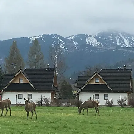Skoczek Kemping Zakopane
